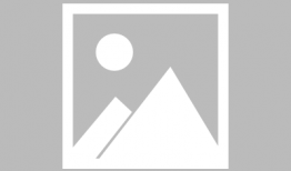 天琴湾最新消息爆料事件,揭秘神秘事件背后的真相